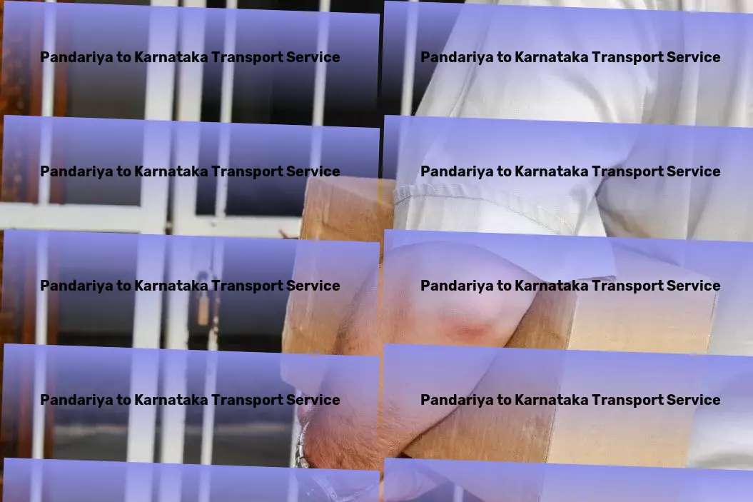 Pandariya to Karnataka Transport Cargo freight