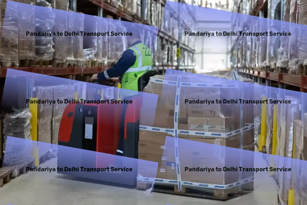 Pandariya to Delhi Transport Maximizing efficiency in the heart of India's transport sector! - Local courier logistics