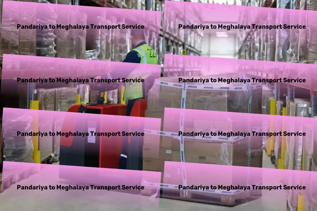 Pandariya to Meghalaya Transport Industrial freight solutions