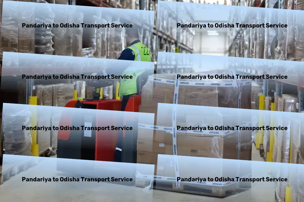 Pandariya to Odisha Transport Empower your supply chain with streamlined transportation across India. - Direct package transport