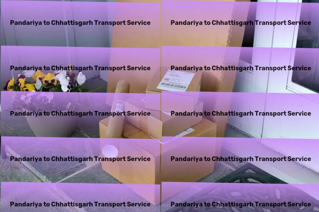 Pandariya to Chhattisgarh Transport Your compass to navigating the world's marvels. - High-speed logistics services