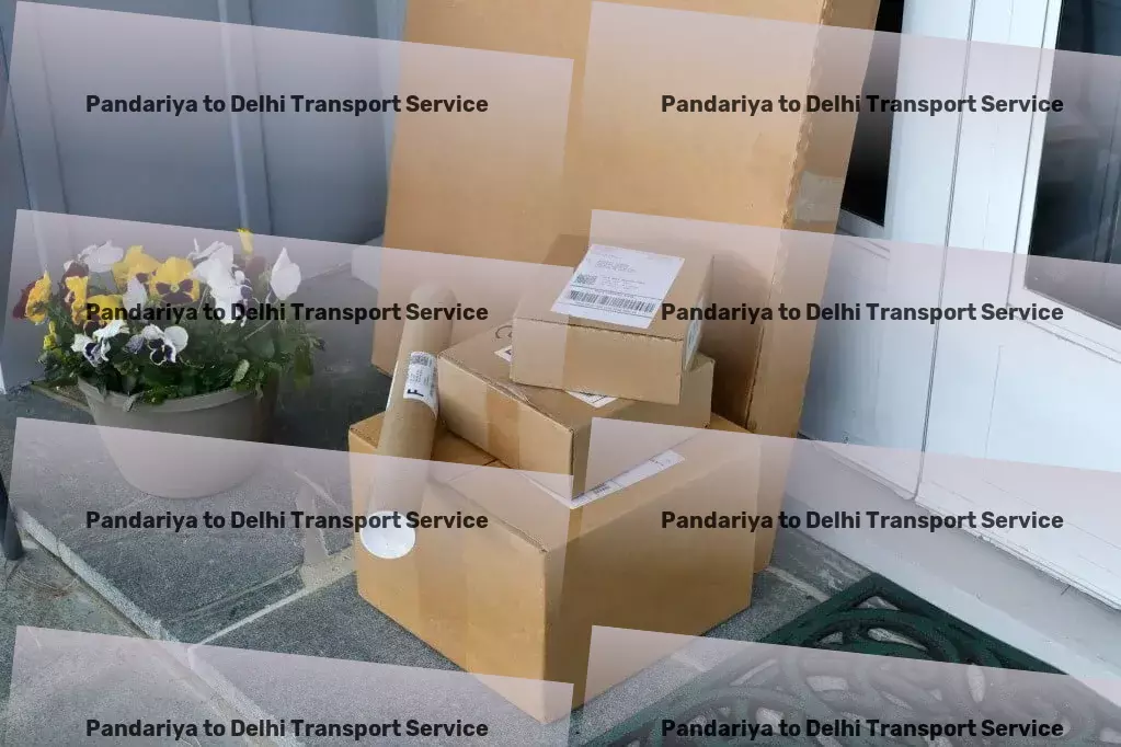 Pandariya to Delhi Transport Freight booking platform