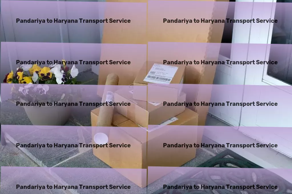 Pandariya to Haryana Transport Unleashing the potential of seamless travel adventures! - Industrial package transport