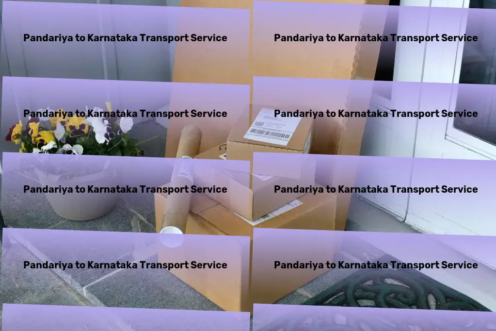 Pandariya to Karnataka Transport Express parcel logistics