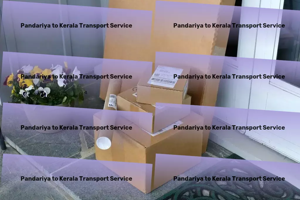 Pandariya to Kerala Transport Empowering adventures across continents and cultures! - Dedicated freight services