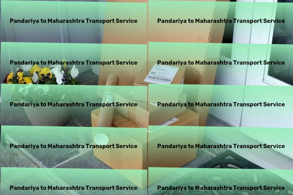 Pandariya to Maharashtra Transport National road cargo services