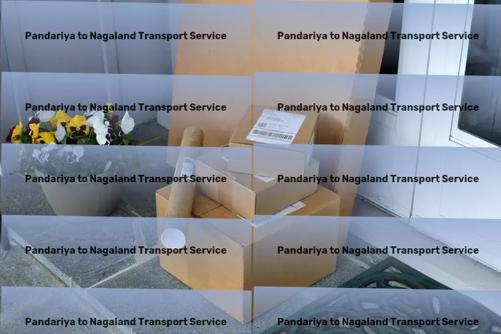 Pandariya to Nagaland Transport Expertly guiding you through the wonders of traveling! - Household item courier