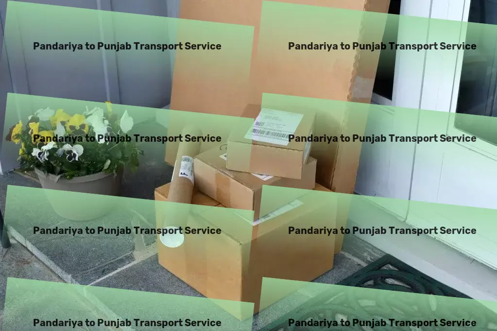 Pandariya to Punjab Transport Local freight delivery