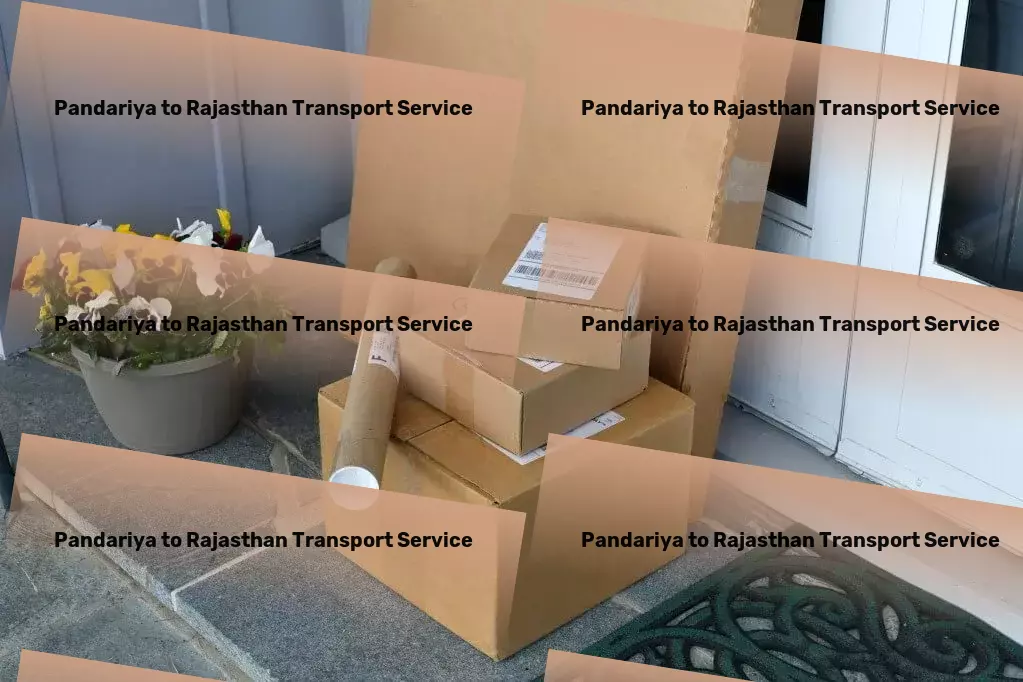 Pandariya to Rajasthan Transport Custom goods services