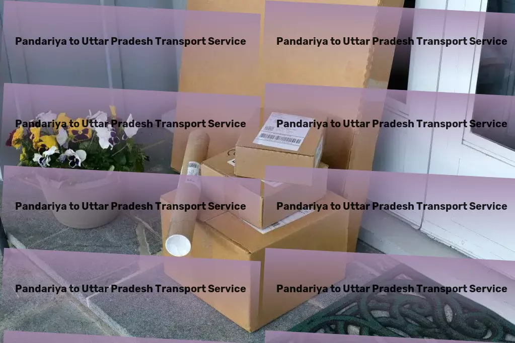 Pandariya to Uttar Pradesh Transport Shaping the future of transportation in India with every delivery. - Specialized transport operations