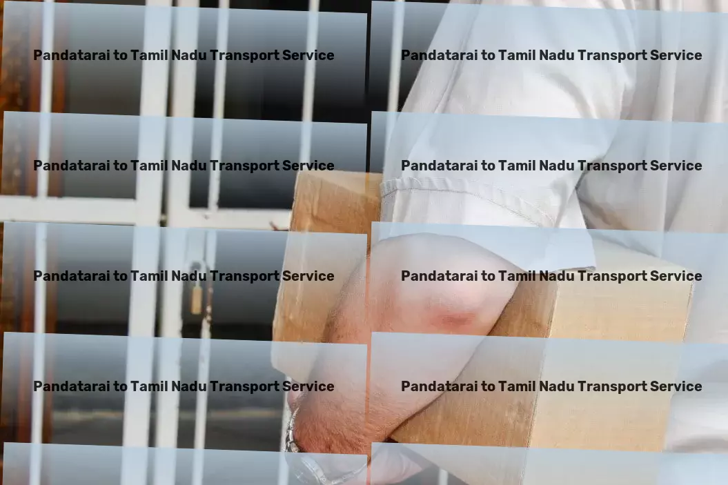 Pandatarai to Tamil Nadu Transport Efficient cargo forwarding services