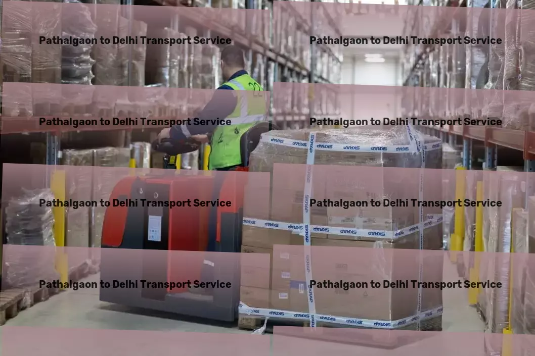 Pathalgaon to Delhi Transport Containerized shipping