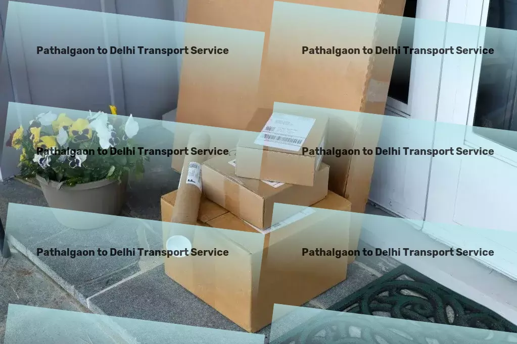 Pathalgaon to Delhi Transport Specialized goods shipment services