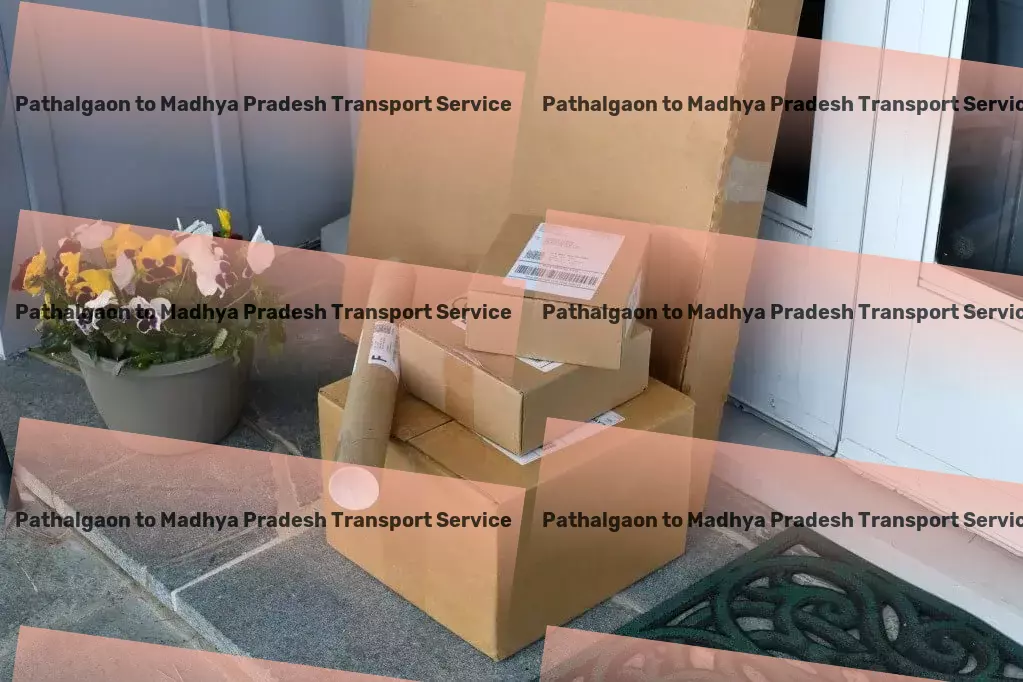 Pathalgaon to Madhya Pradesh Transport Nationwide logistics solutions