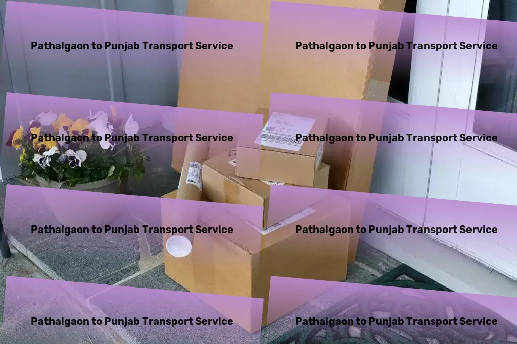 Pathalgaon to Punjab Transport Nationwide shipping solutions