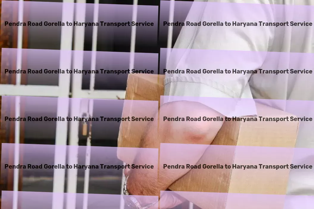 Pendra Road Gorella to Haryana Transport Cold chain logistics