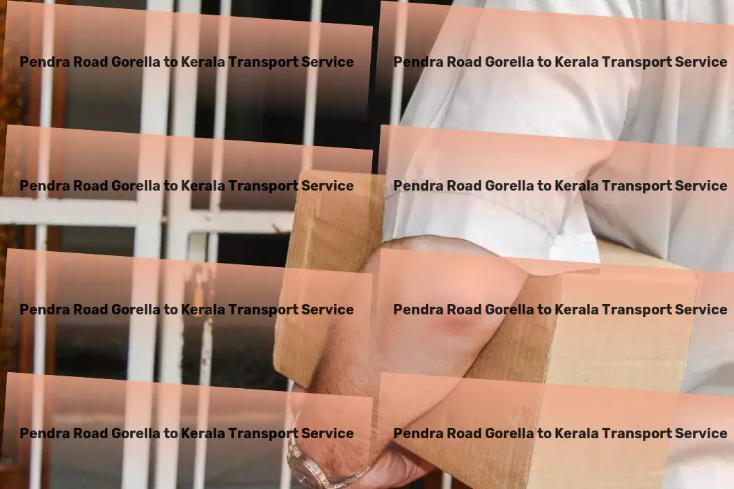 Pendra Road Gorella to Kerala Transport Standard freight transportation