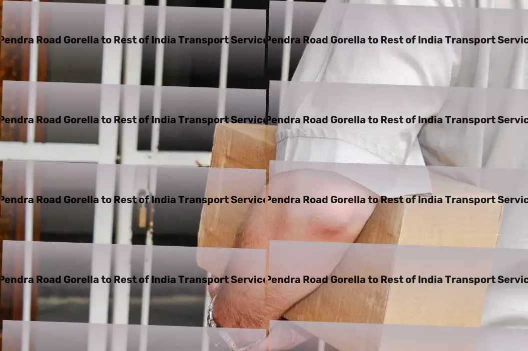 Pendra Road Gorella to Rest Of India Transport Express furniture relocation