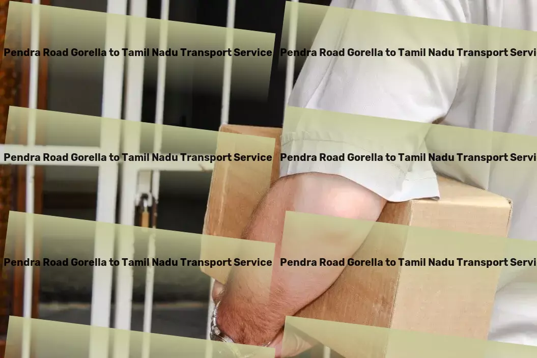 Pendra Road Gorella to Tamil Nadu Transport Reliable packers and movers