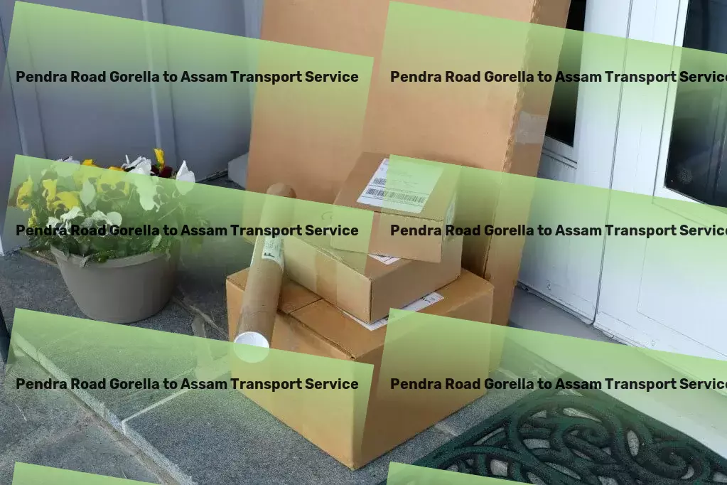 Pendra Road Gorella to Assam Transport Express package logistics