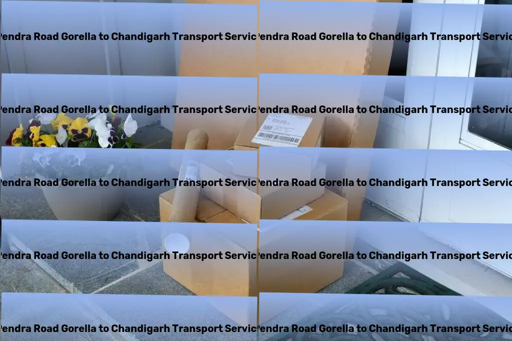 Pendra Road Gorella to Chandigarh Transport Leading the charge towards innovative Indian logistics solutions. - Logistics software solutions