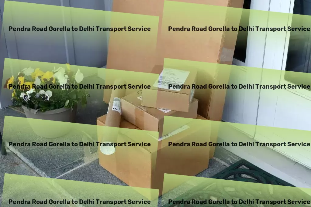 Pendra Road Gorella to Delhi Transport Nationwide goods forwarding