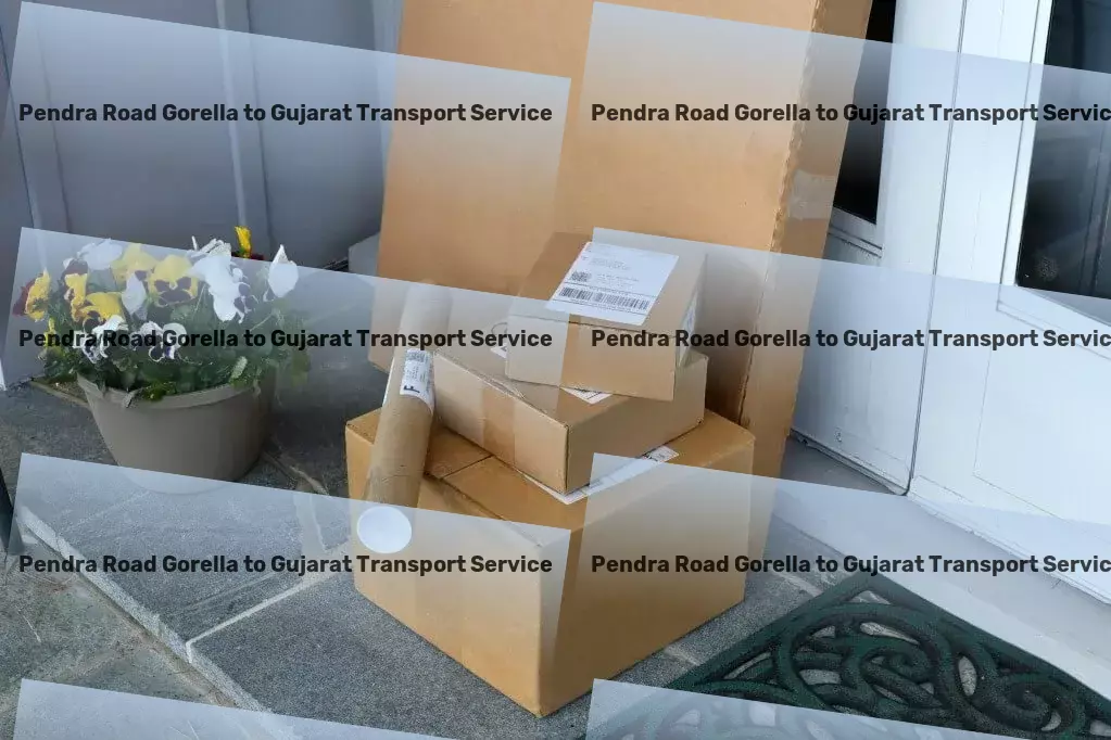 Pendra Road Gorella to Gujarat Transport Direct shipping services