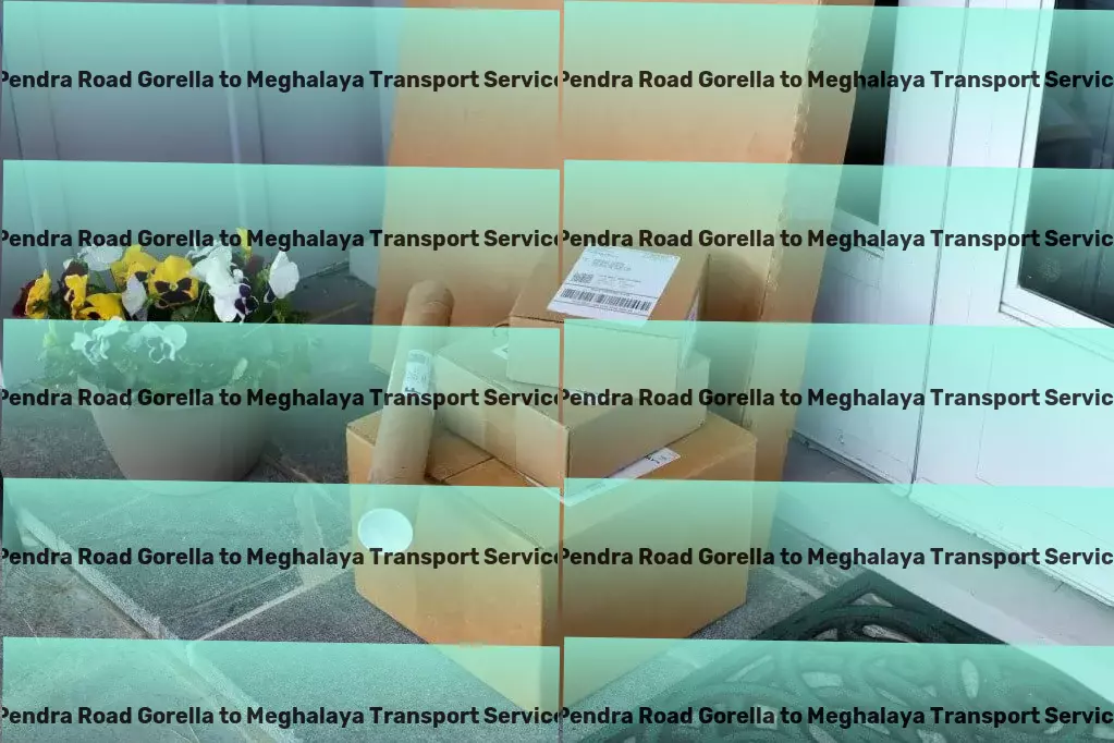 Pendra Road Gorella to Meghalaya Transport Fast, reliable, and efficient - the way India transports! - Diverse cargo services