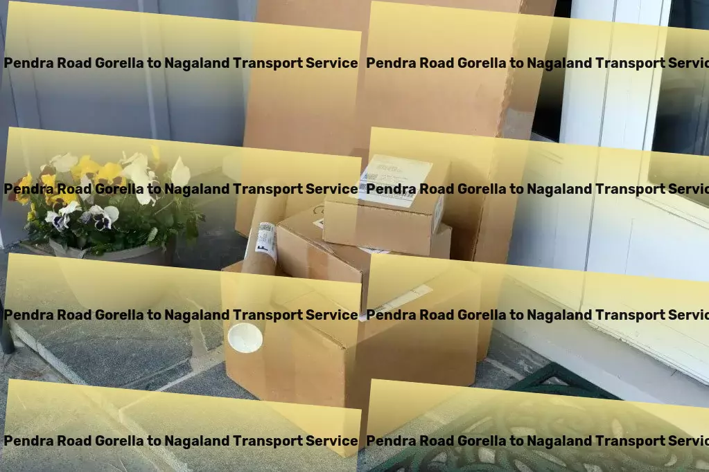 Pendra Road Gorella to Nagaland Transport National road freight solutions