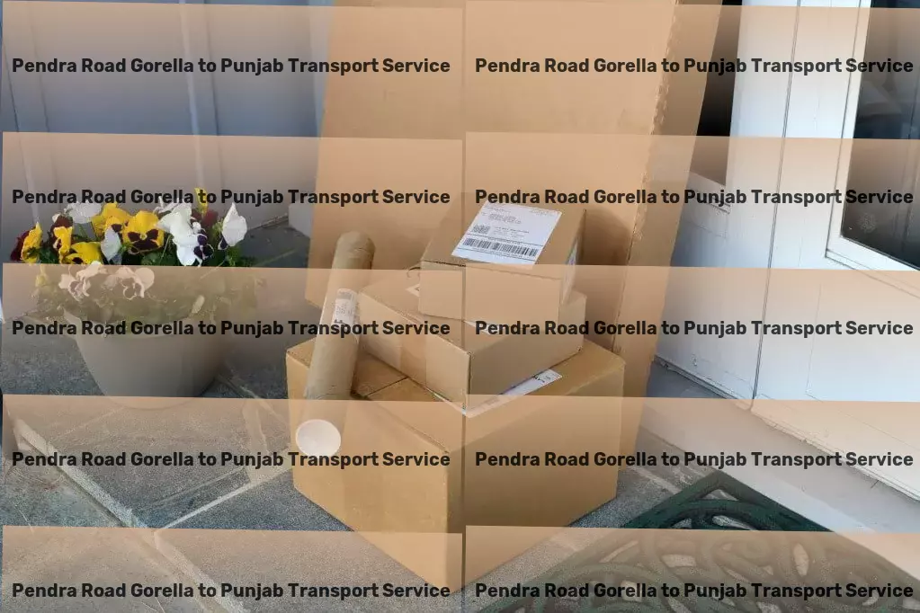 Pendra Road Gorella to Punjab Transport Unleash potential with our groundbreaking transport services in India. - Express bike transport