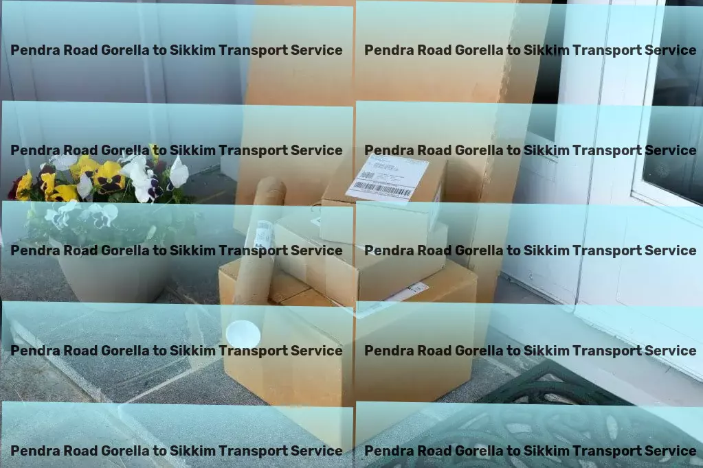 Pendra Road Gorella to Sikkim Transport Specialized household moving