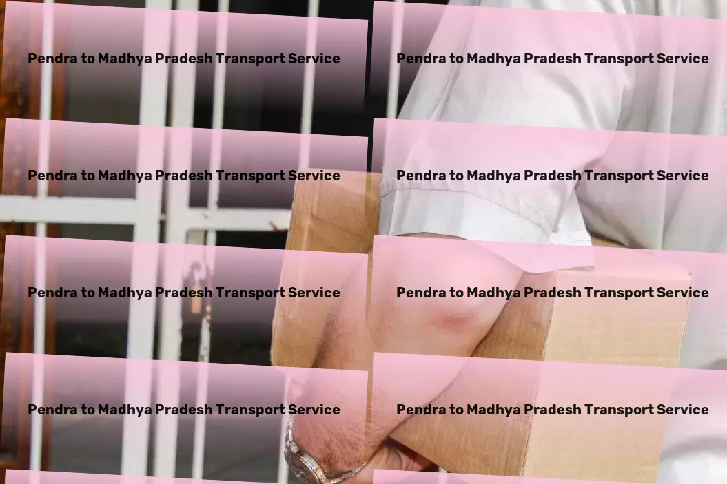 Pendra to Madhya Pradesh Transport Optimal transport strategies designed for the Indian market! - Long-haul cargo delivery