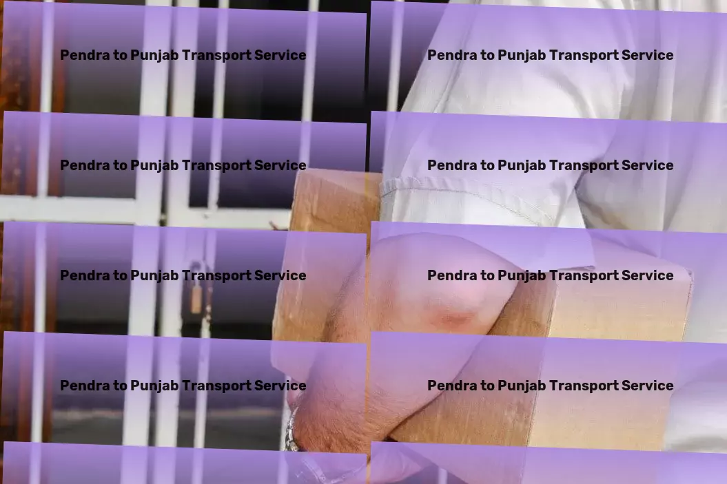 Pendra to Punjab Transport Optimal transport strategies designed for the Indian market! - Advanced logistics networks