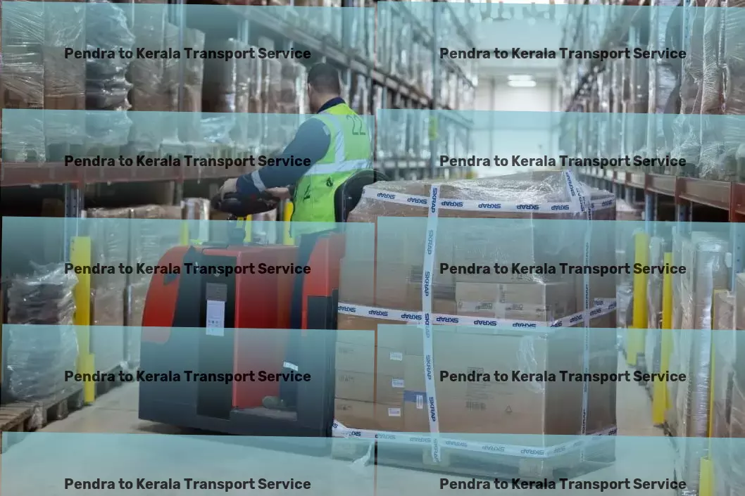 Pendra to Kerala Transport National goods shipment solutions