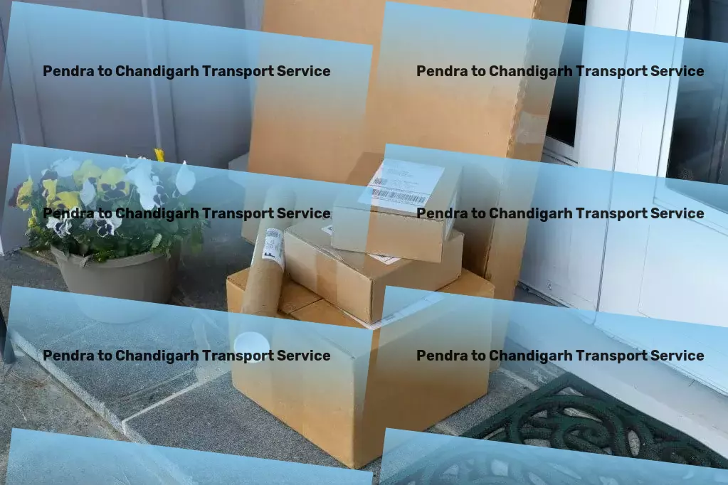 Pendra to Chandigarh Transport Standard courier services