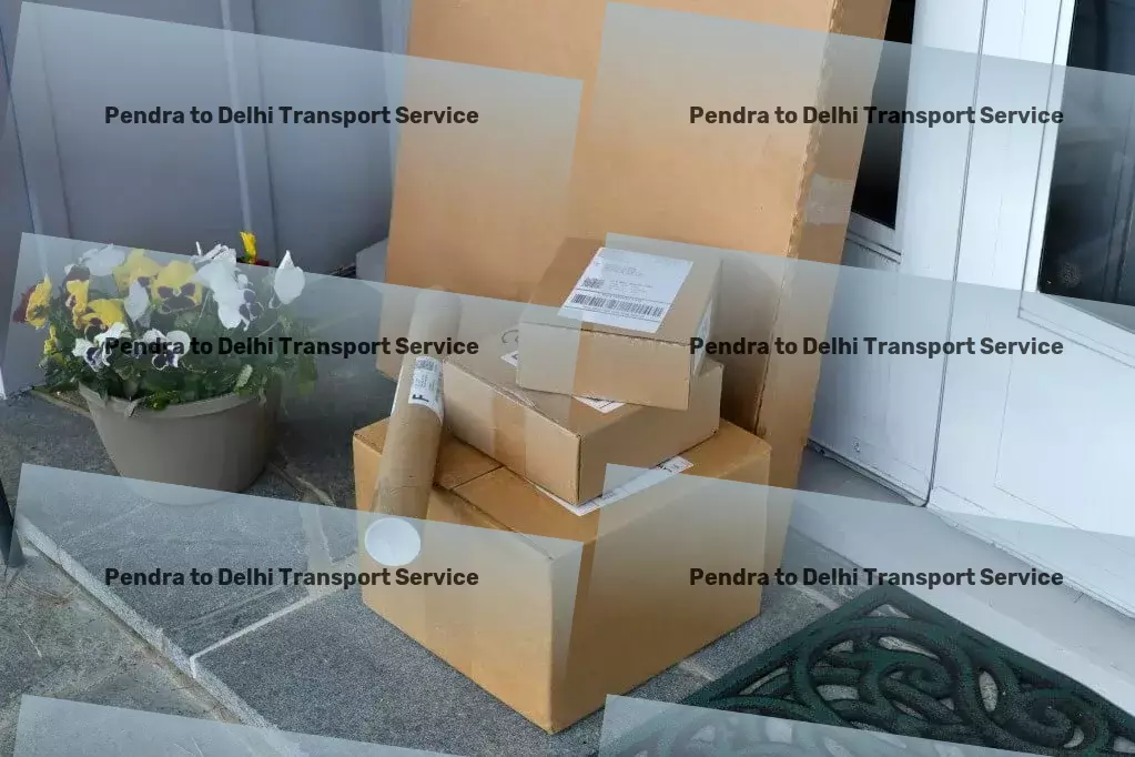 Pendra to Delhi Transport Your logistic challenges in India, solved effortlessly! - Express goods forwarding