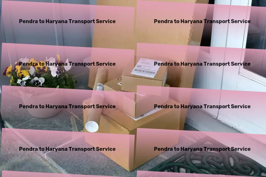 Pendra to Haryana Transport The ultimate guide to enriching travel experiences! - Local package forwarding