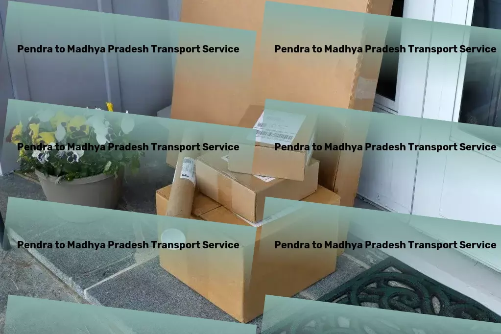 Pendra to Madhya Pradesh Transport Experience the beauty of diverse cultures and landscapes! - Express furniture transport