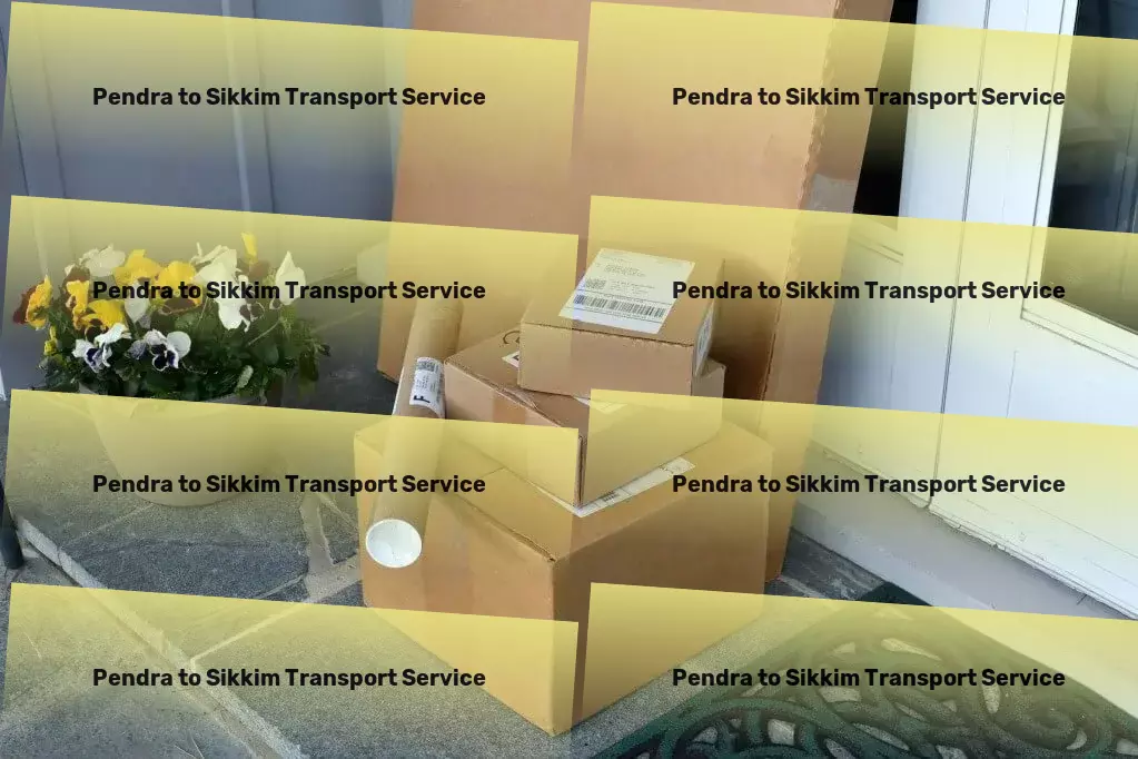 Pendra to Sikkim Transport The cornerstone of efficient Indian transportation systems! - On-demand courier services