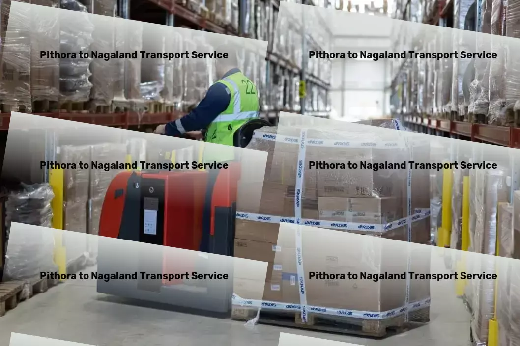 Pithora to Nagaland Transport Fast package logistics