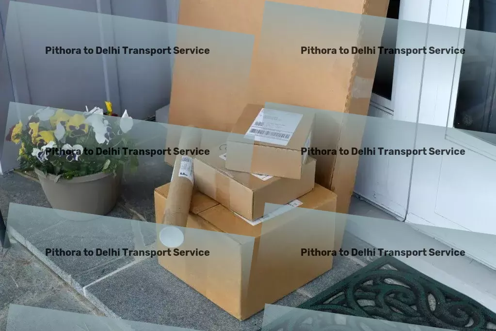 Pithora to Delhi Transport Specialized transport operations