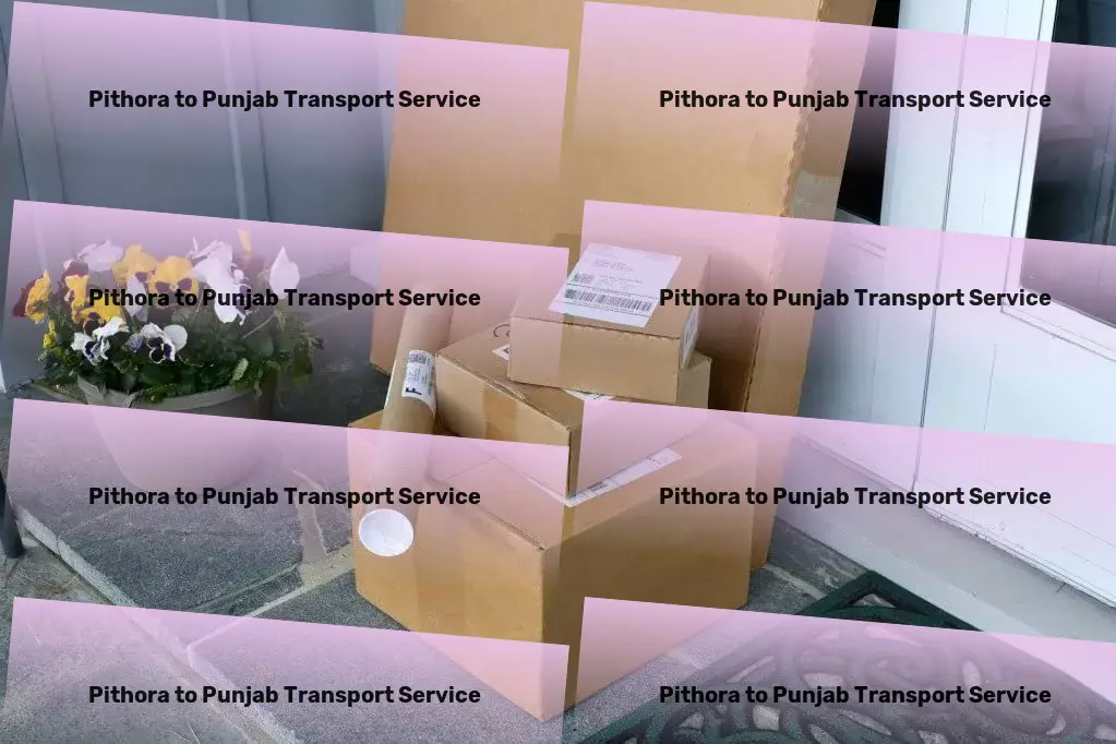 Pithora to Punjab Transport Specialized road freight