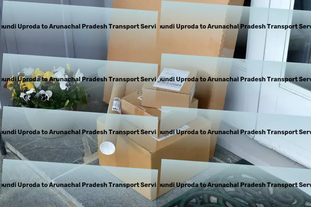 Poundi Uproda to Arunachal Pradesh Transport Tailored travel experiences for every explorer! - High-capacity goods logistics