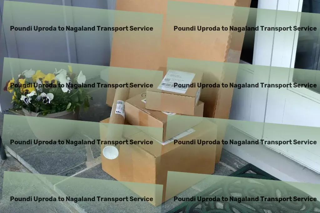 Poundi Uproda to Nagaland Transport Full-scale moving services