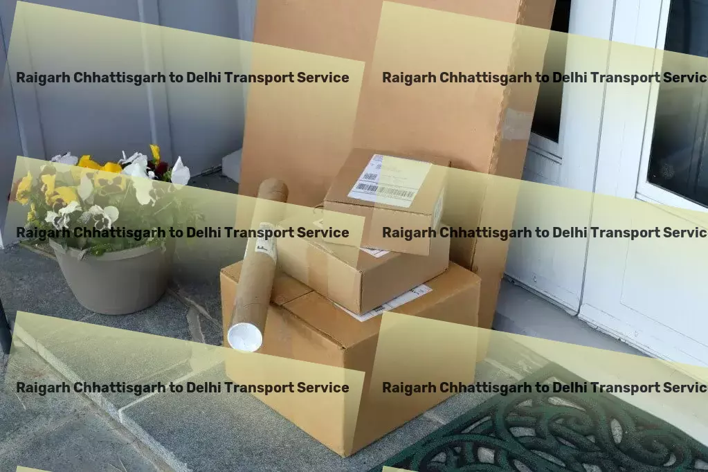 Raigarh Chhattisgarh to Delhi Transport Professional transporter services