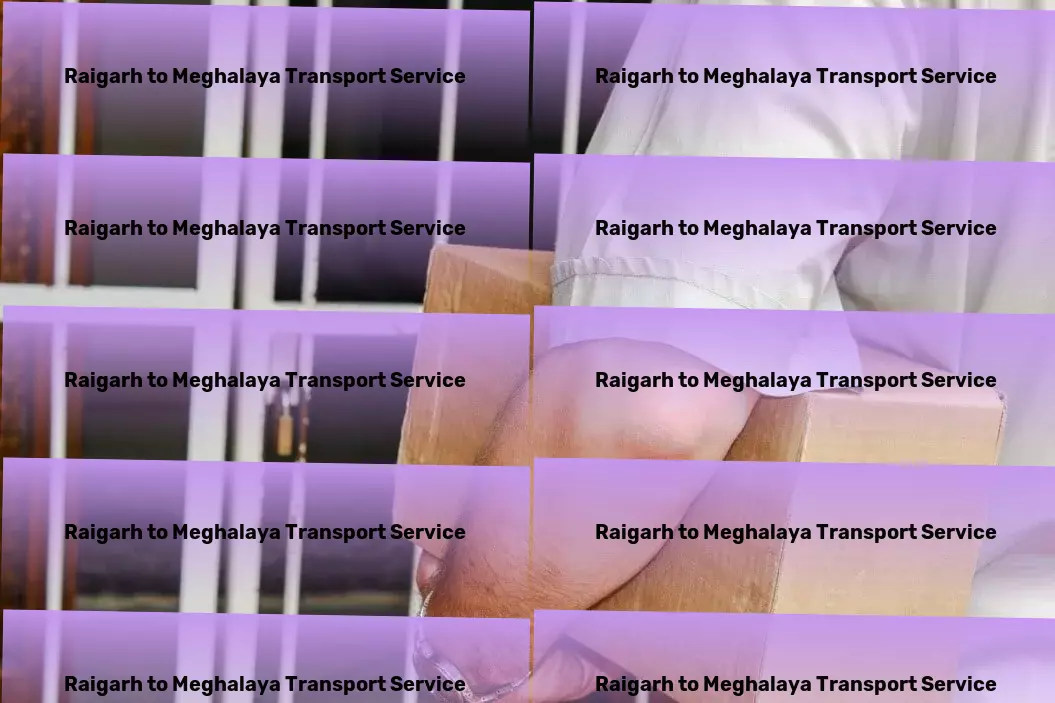 Raigarh to Meghalaya Transport High-capacity goods services