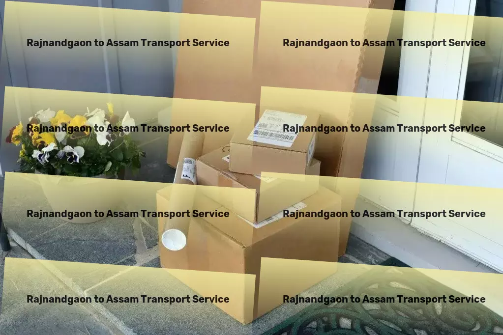 Rajnandgaon to Assam Transport Specialized freight logistics