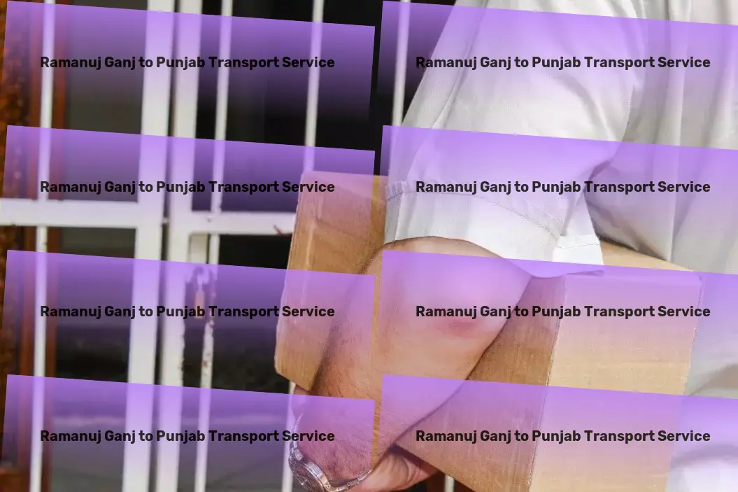 Ramanuj Ganj to Punjab Transport High-capacity freight solutions