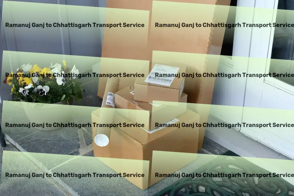 Ramanuj Ganj to Chhattisgarh Transport Domestic transport services