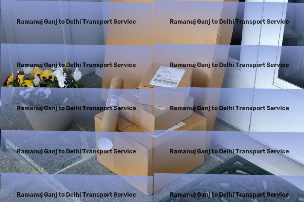 Ramanuj Ganj to Delhi Transport Less than truckload logistics